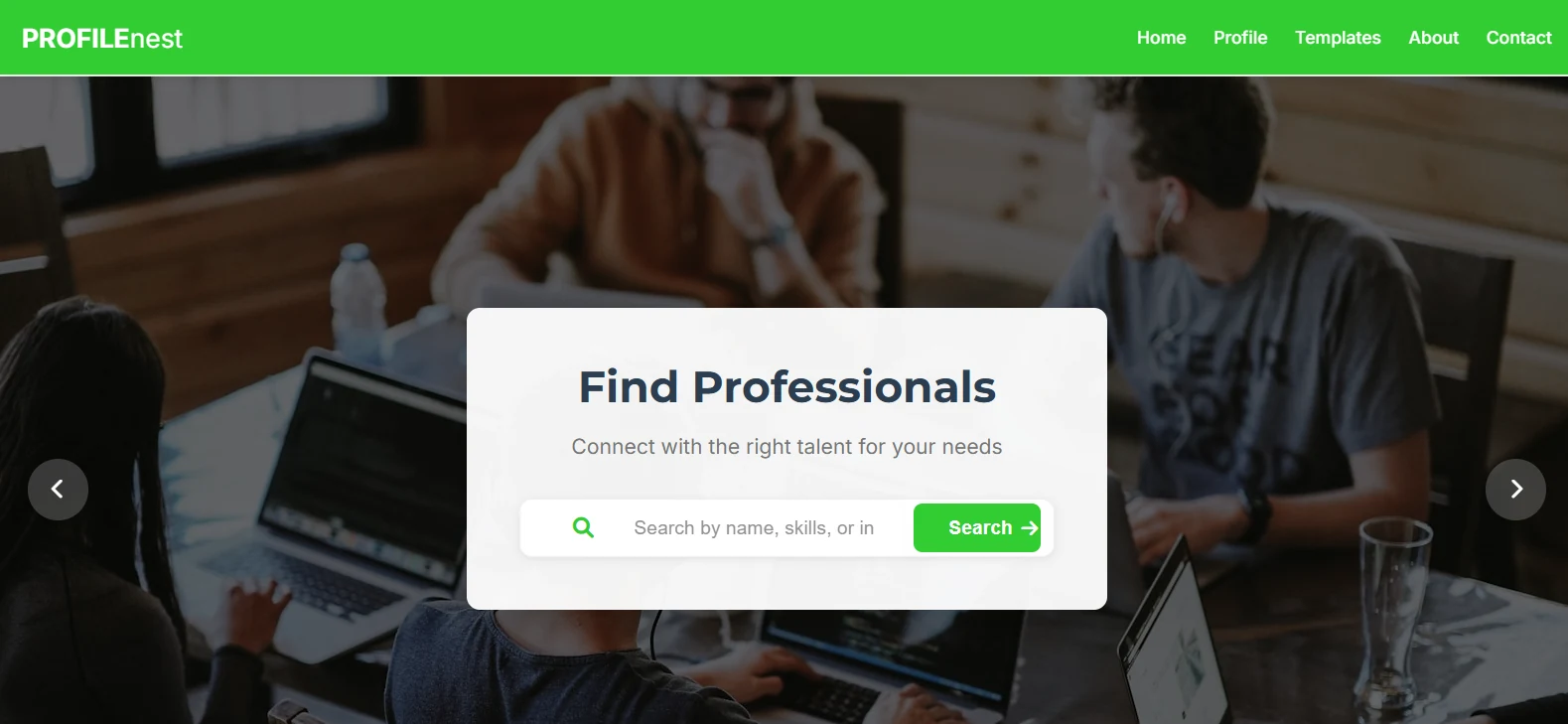 ProfileNest — Professional Profile Builder